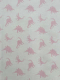 Girl Dinosaur Baby Blanket Set