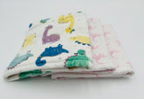 Girl Dinosaur Baby Blanket Set